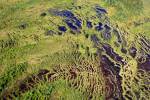 Stock photo of an aerial view of the Marshlands and bogs in the landscape of Southern Labrador, Labrador, Newfoundland Labrador, Canada.
