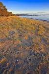 Stock photo of Agawa Bay at sunset with bright blue sky above in this photo of a sandy section of the beach on Lake Superior in Lake Superior Provincial Park, Ontario, Canada.