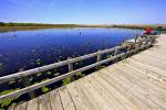 Stock photo of Marsh Boardwalk, Point Pelee National Park, Leamington, Ontario, Canada.