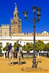 Stock photo of two policemen on horseback standing in a courtyard of the Reales Acazares backdropped by La Giralda (bell tower/minaret) in the Santa Cruz district in the City of Sevilla (Seville), Province of Sevilla, Andalusia (Andalucia), Spain, Europe.