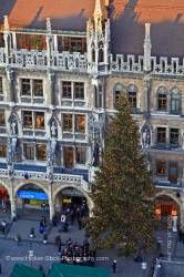 Christmas tree Marienplatz New City Hall City of Munich Bavaria