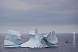 Iceberg watching Iceberg Alley Atlantic Ocean Newfoundland Canada