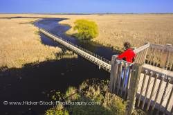 Tower view Marsh Boardwalk in Point Pelee National Park, Lake Erie Leamington Ontario Canada
