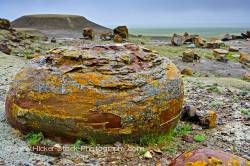 Sandstone concretions Red Rock Coulee Natural Area Alberta