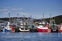 Shrimp fishing boats St Anthony Harbour Viking Trail Newfoundland Canada