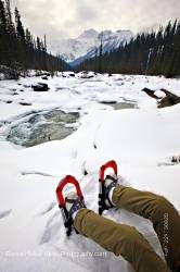 Snowshoes Person Mistaya River Bank Mount Sarbach Mistaya Canyon Banff National Park Alberta Canada