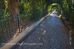 Stroll of the Rose bays Alhambra City Granada Andalusia
