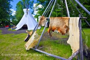 Stock photo of animal skins draped over a pole to dry in the sun at the Aboriginal Encampment, Lower Fort Garry - a National Historic Site, Selkirk, Manitoba, Canada.