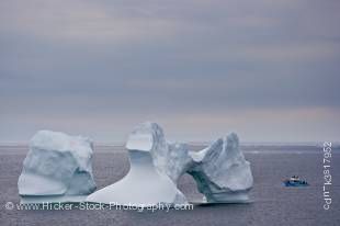 Stock photo of Iceberg watching tour with Northland Discovery Boat Tours from St Anthony seen from Flat Point Lookout in the town of Great Brehat overlooking Iceberg Alley in the Atlantic Ocean, Viking Trail, Trails to the Vikings, Great Northern Peninsul
