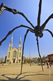 Stock photo of the Maman sculpture outside the National Gallery of Canada with the Notre Dame Cathedral Basilica in the background, city of Ottawa.