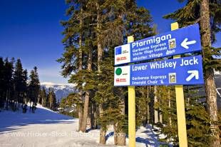 Stock photo of trail signs for the Ptarmigan and Lower Whiskey Jack ski trails on Whistler Mountain, Whistler Blackcomb, Whistler, British Columbia, Canada. This scene shows snow covered ground looking down the Ptarmigan ski trail, stands of tall evergree