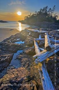 Stock photo of several large pieces of driftwood strewn over a rocky outcrop along South Beach at sunset in Pacific Rim National Park, Long Beach Unit, Clayoquot Sound UNESCO Biosphere Reserve, West Coast, Pacific Ocean, Vancouver Island, British Columbia
