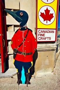 Stock photo of a penguin dressed like a Canadian Mountie in front of a souvenir store in Ottawa, Ontario, Canada.