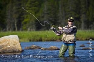 Stock photo of a woman fly fishing in Salmon River near the town of Main Brook, Viking Trail, Northern Peninsula, Great Northern Peninsula, Newfoundland. Model Released.