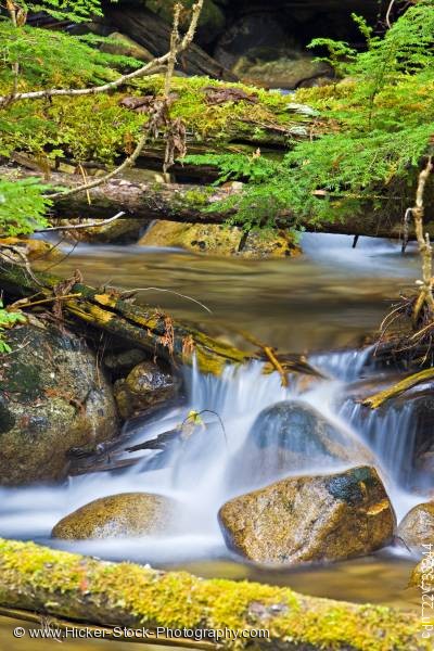Stock photo of Creek Monashee Provincial Park British Columbia Canada