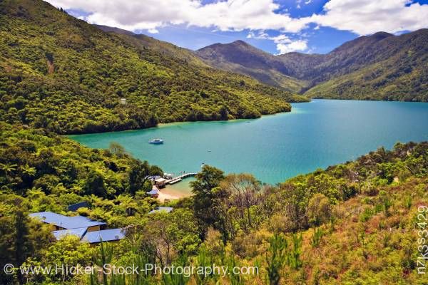 Stock photo of Punga Cove Resort Endeavour Inlet Queen Charlotte Sound Marlborough South Island New Zealand