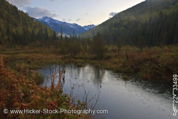Stock photo of Snow capped Selkirk Mountains forest fall colors British Columbia