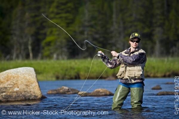 Stock photo of Woman fly fishing Salmon River Main Brook Viking Trail Newfoundland Canada