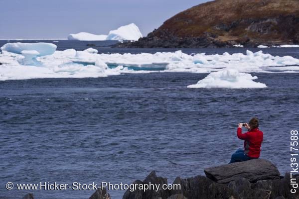 Stock photo of Woman iceberg watching shore Newfoundland