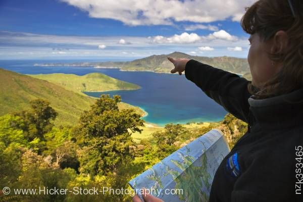 Stock photo of Overlooking Melville Cove Port Gore Jacksons Head Queen Charlotte Sound Marlborough South Island
